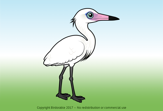 Birdorable Reddish Egret White Morph