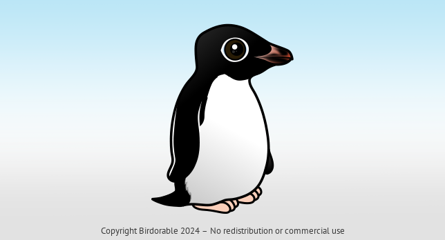 Birdorable Adelie Penguin 
