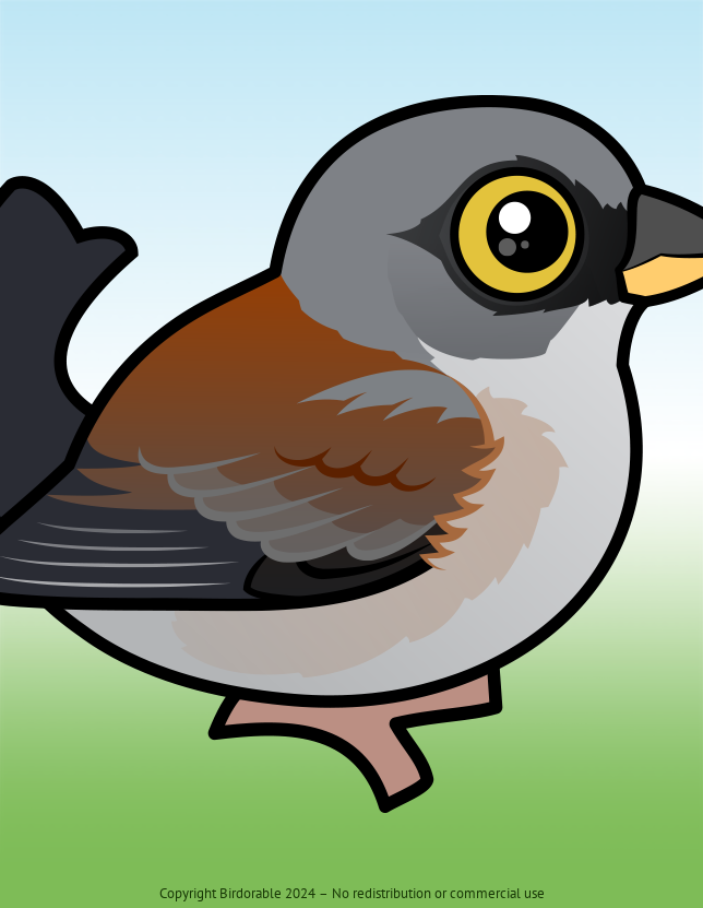 Birdorable Yellow-eyed Junco 