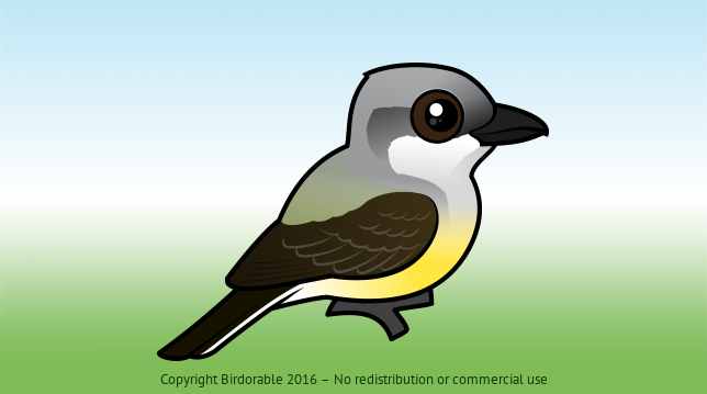 Birdorable Western Kingbird 