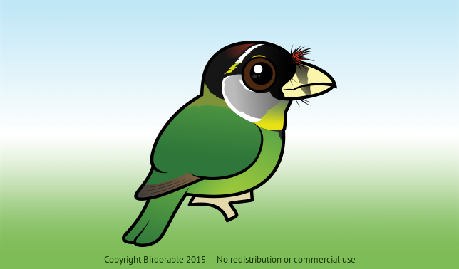 Birdorable Fire-tufted Barbet 