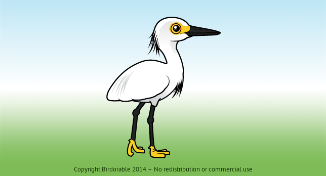 Birdorable Snowy Egret 