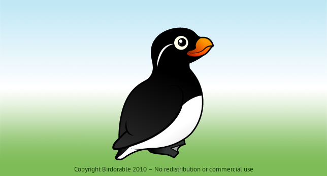 Birdorable Parakeet Auklet 