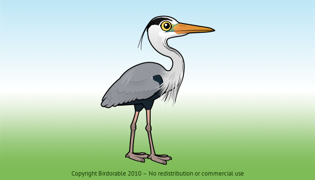 Birdorable Grey Heron 