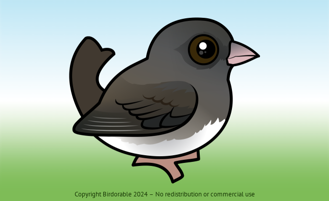 Birdorable Dark-eyed Junco Female