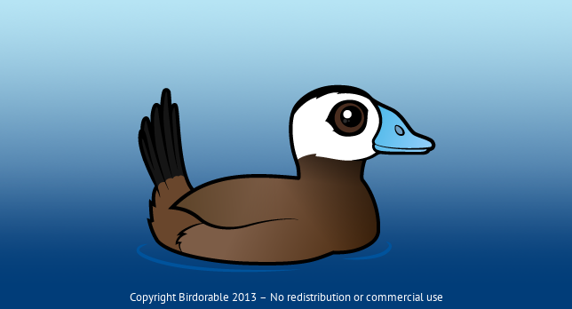 Birdorable White-headed Duck 