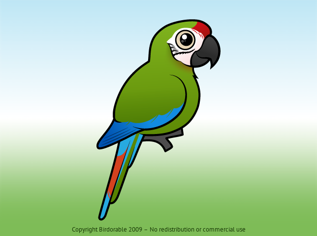Birdorable Great Green Macaw 