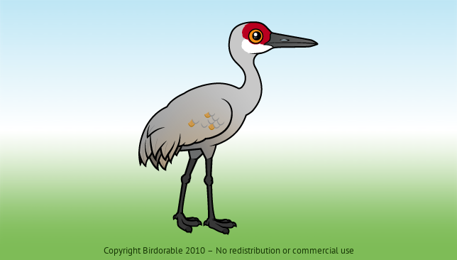 Birdorable Sandhill Crane 
