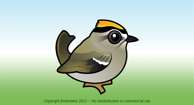 Birdorable Golden-crowned Kinglet 