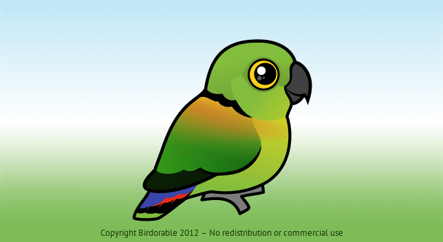 Birdorable Black-collared Lovebird 