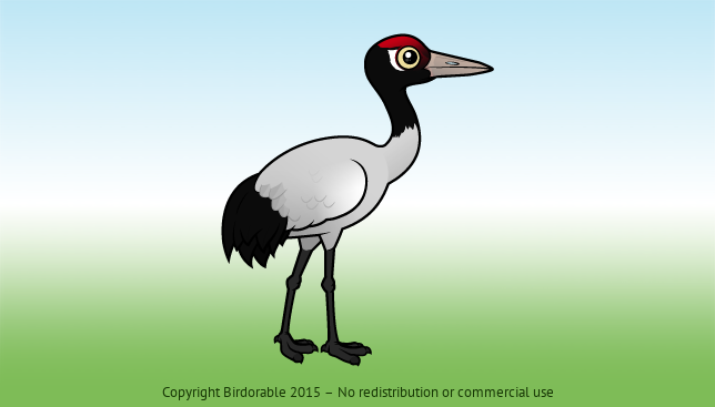 Birdorable Black-necked Crane 
