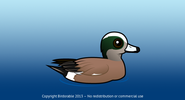 Birdorable American Wigeon 