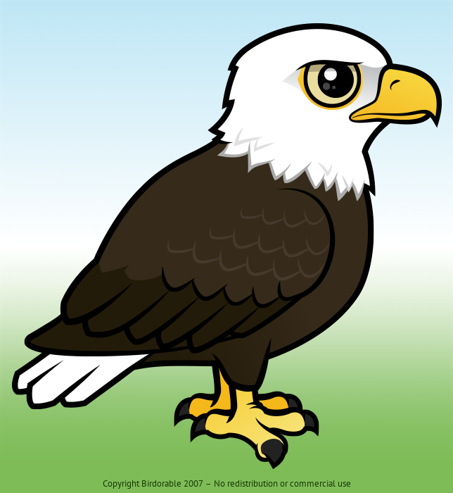 Birdorable Bald Eagle 