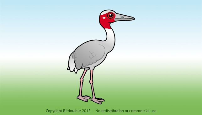 Birdorable Sarus Crane 