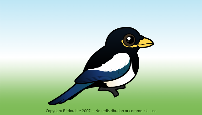 Birdorable Yellow-billed Magpie 