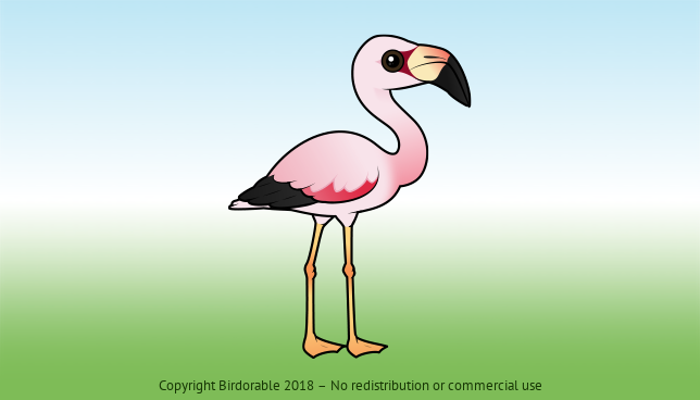 Birdorable Andean Flamingo 