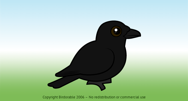 Birdorable American Crow 