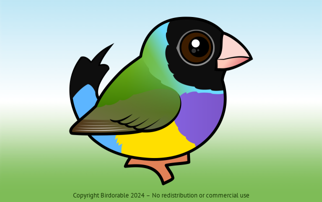 Birdorable Gouldian Finch Black-headed