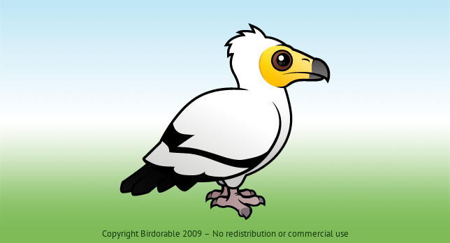 Birdorable Egyptian Vulture 