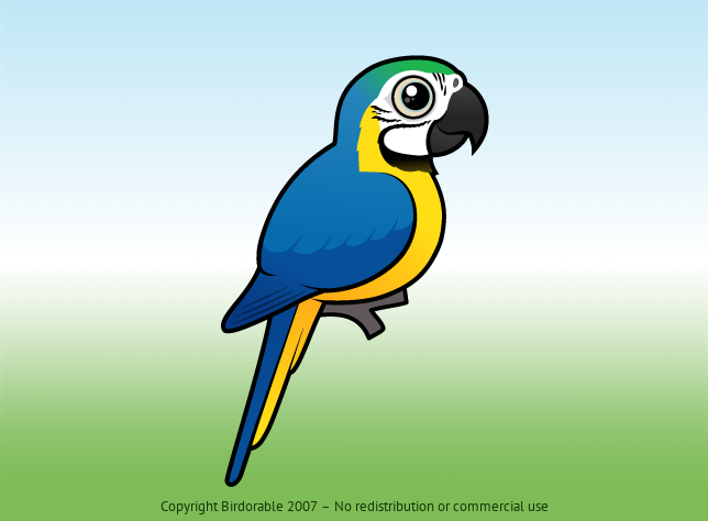 Birdorable Blue-and-yellow Macaw 
