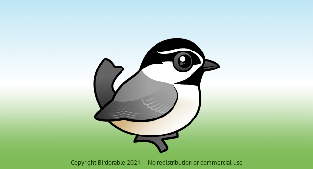 Birdorable Mountain Chickadee 