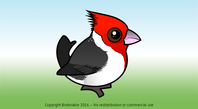 Birdorable Red-crested Cardinal 