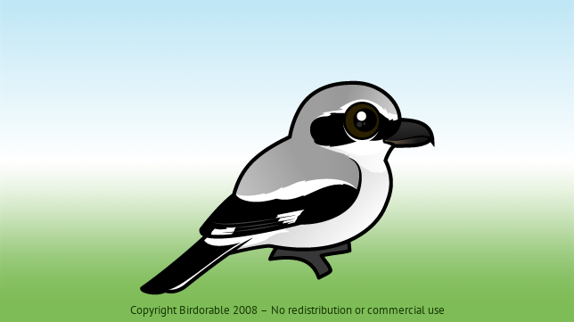 Birdorable Northern Shrike 