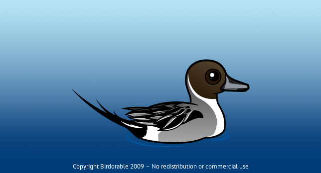 Birdorable Northern Pintail 