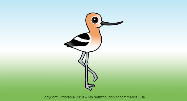 Birdorable American Avocet 