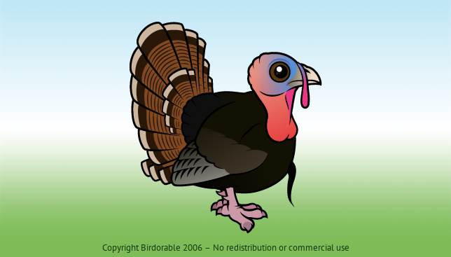 Birdorable Wild Turkey 