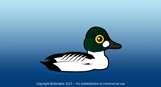 Birdorable Common Goldeneye 