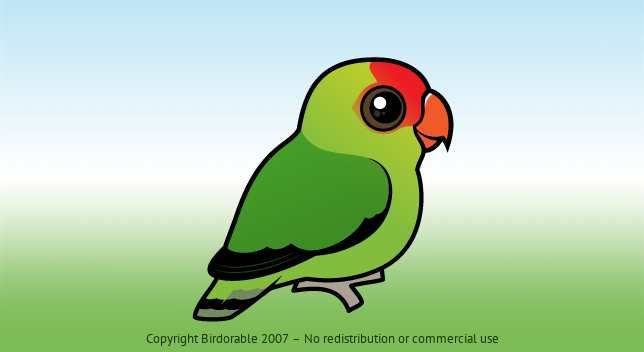 Birdorable Black-winged Lovebird 