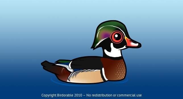 Birdorable Wood Duck 