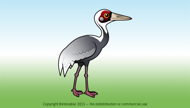 Birdorable White-naped Crane 