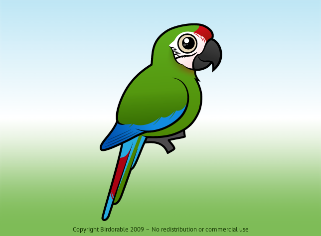 Birdorable Military Macaw 