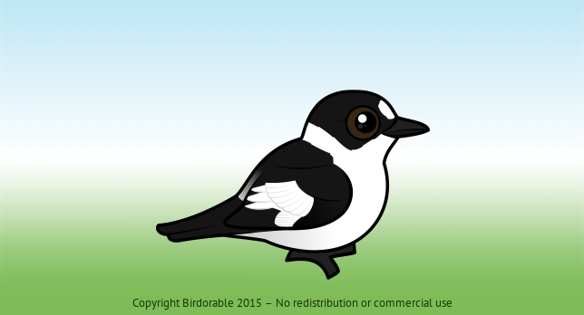 Birdorable Collared Flycatcher 