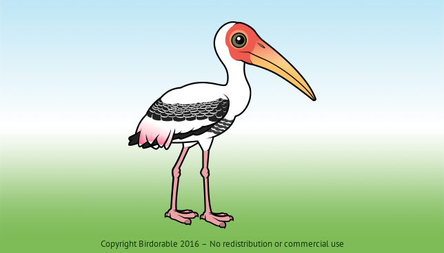 Birdorable Painted Stork 