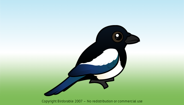 Birdorable Black-billed Magpie 