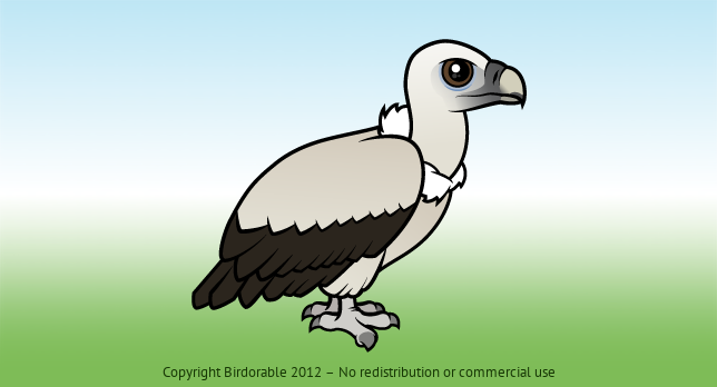 Birdorable Himalayan Vulture 