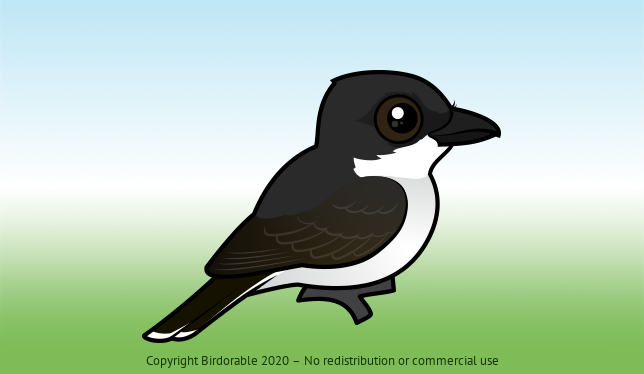 Birdorable Eastern Kingbird 
