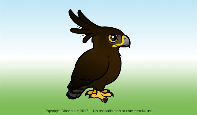 Birdorable Long-crested Eagle 