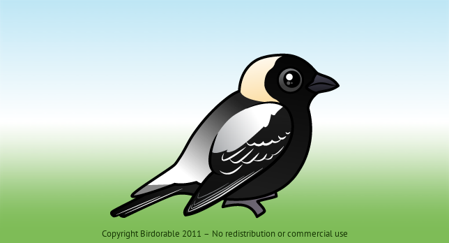 Birdorable Bobolink 