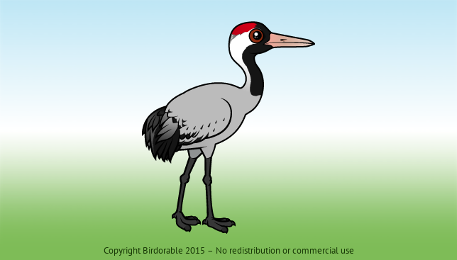 Birdorable Common Crane 
