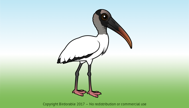 Birdorable Wood Stork 