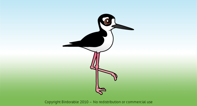 Birdorable Black-necked Stilt 