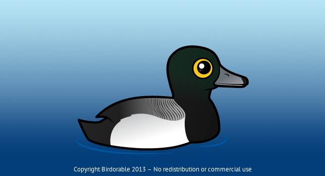 Birdorable Greater Scaup 