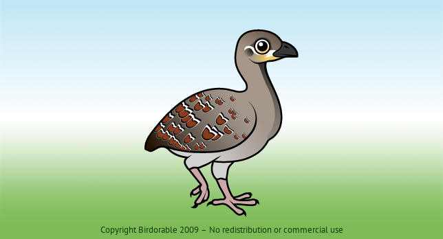 Birdorable Malleefowl 