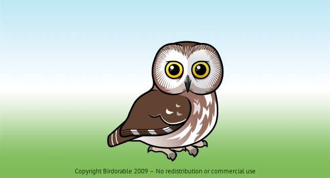 Birdorable Northern Saw-whet Owl 