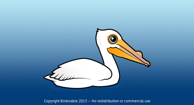 Birdorable American White Pelican 