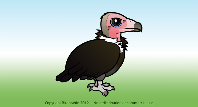Birdorable Hooded Vulture 